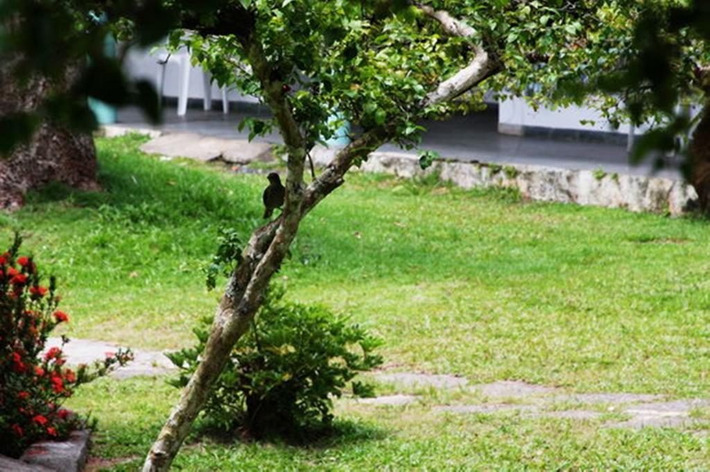 Pousada Sitio Paraiso Itacaré Exteriör bild